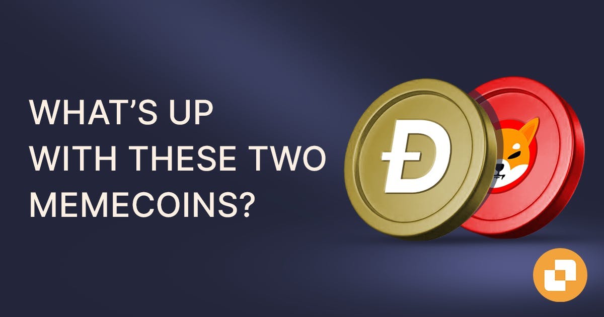 Banner of blog labelled What's up with these two memecoins?