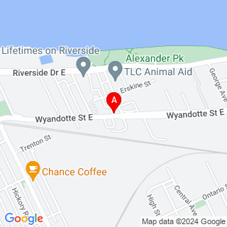 Strabane Ave & Wyandotte St E location map